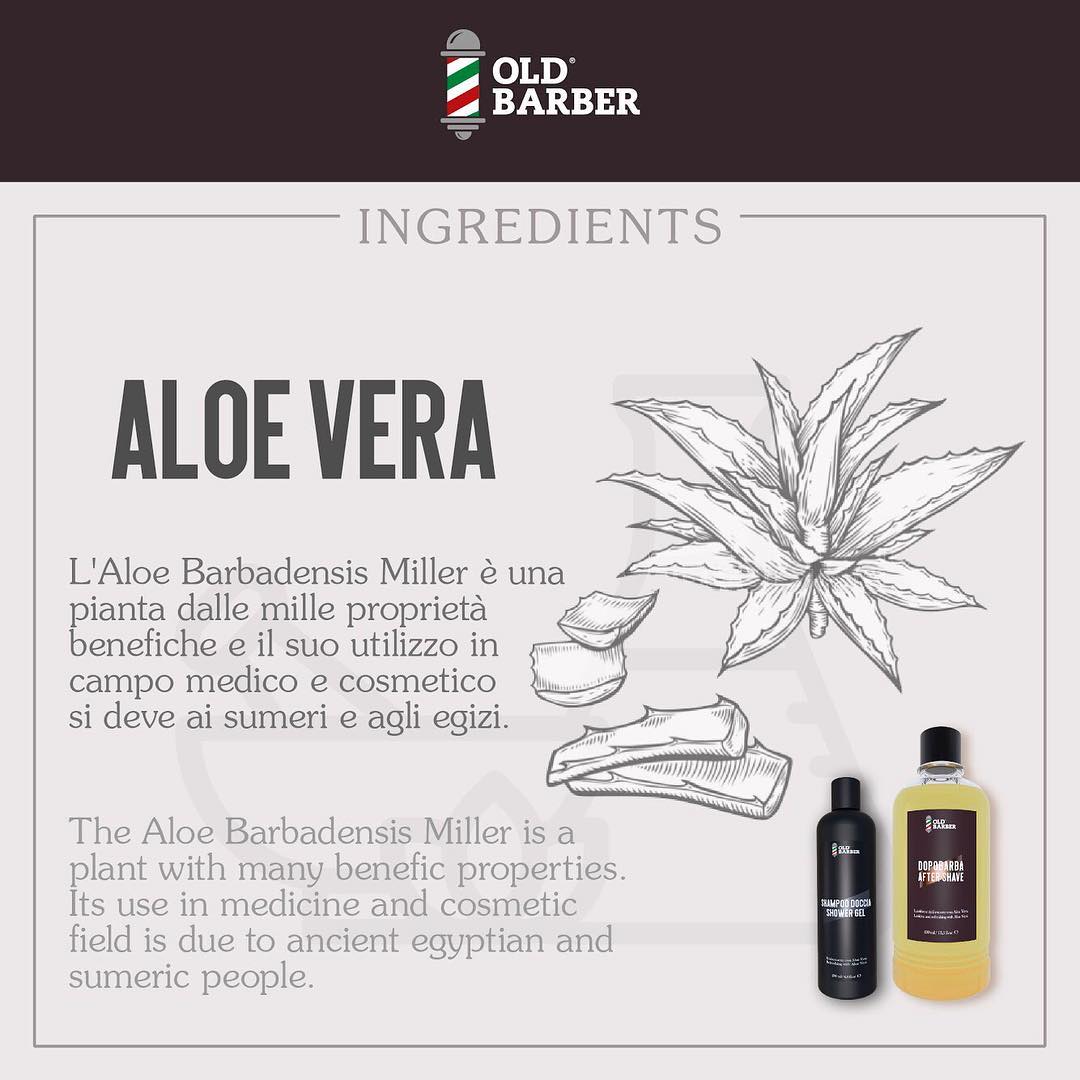 Aloe Vera Old Barber